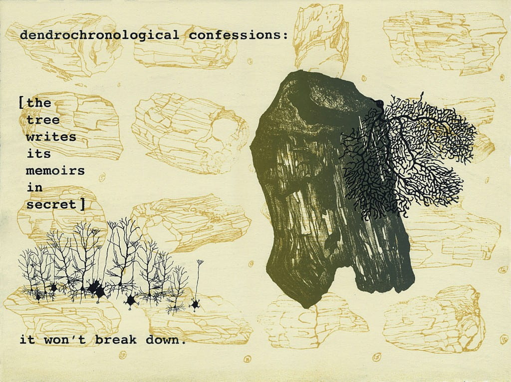 Petrified: Confessions2015, lithograph, 11 x 15 inches