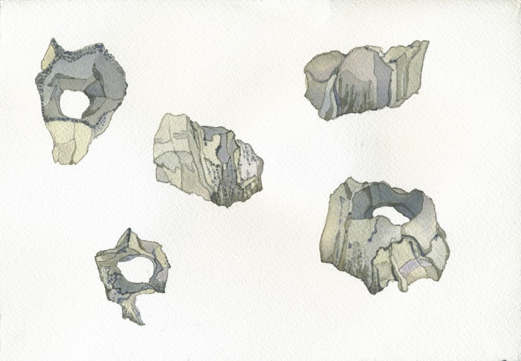 Barnacle Studies I2016, watercolor on Arches, 7 x 10 inches