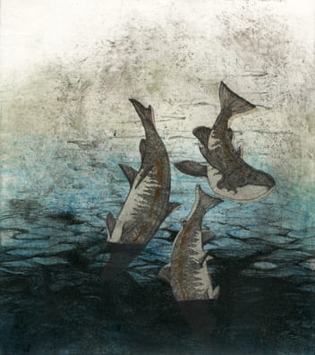 Falling Fish2006, lithograph, etching, aquatint, chine collé, 8 x 7.5 inches