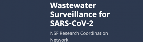 NSF Research Coordination Network Webinars