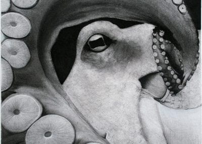 "Octopus" by Hope Asako Poynter